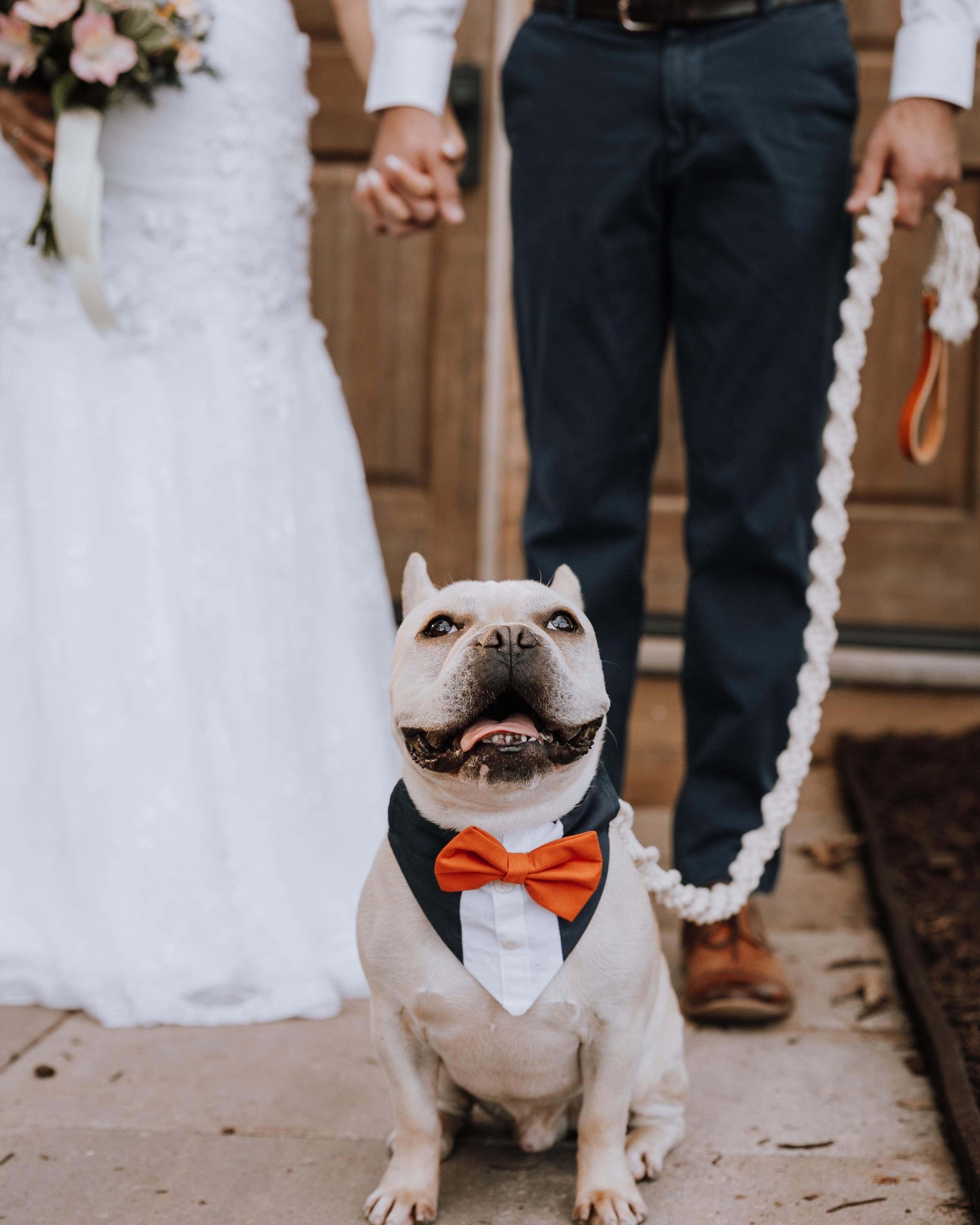 Macrame Dog Leash w/ Leather Handle - Modern Companion