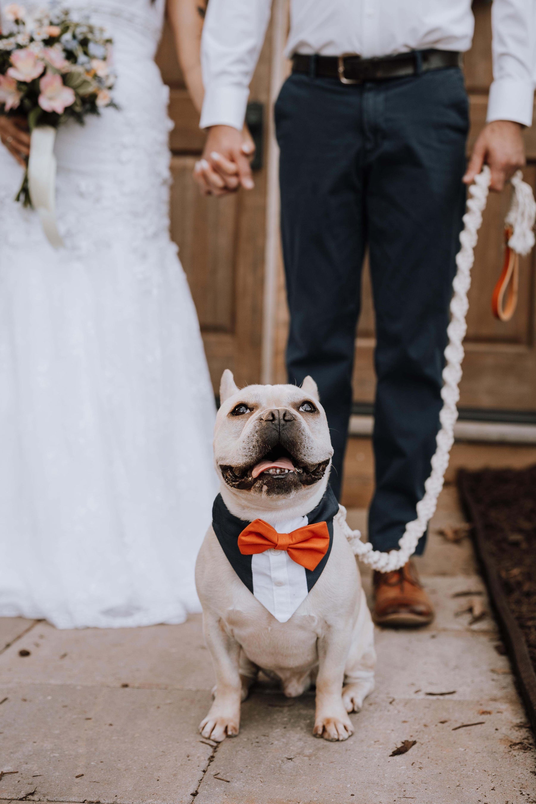 Macrame Dog Leash w/ Leather Handle - Modern Companion