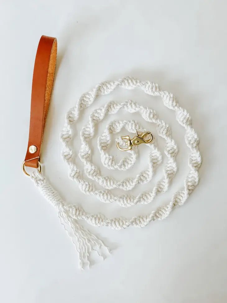 Macrame Dog Leash w/ Leather Handle - Modern Companion