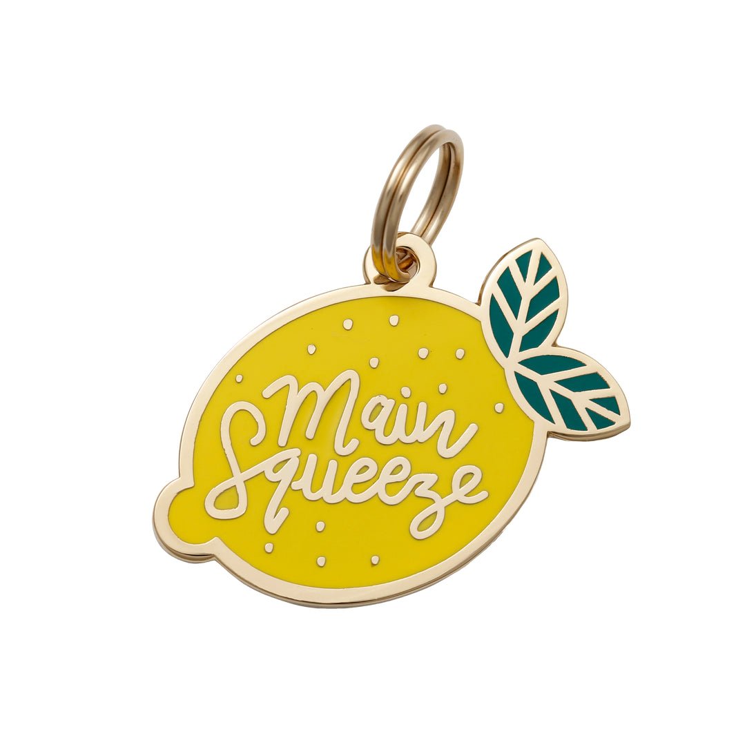 Main Squeeze Pet ID Tag - Modern Companion