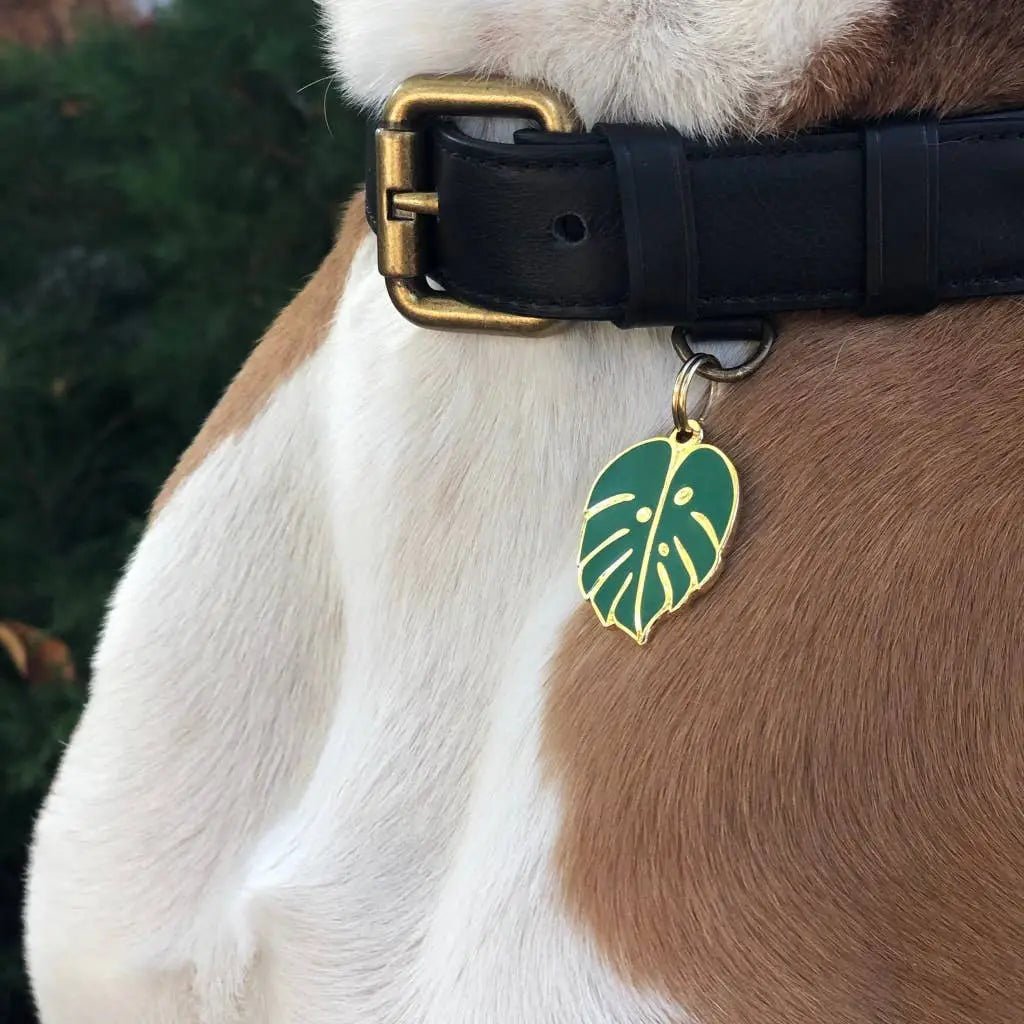 Monstera Leaf Pet ID Tag - Modern Companion