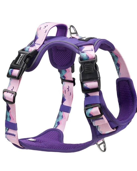 Mt. Milly Harness - Modern Companion
