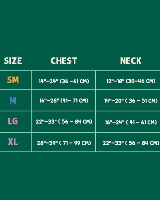 Mt. Milly Harness - Modern Companion