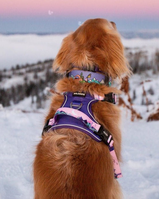 Mt. Milly Harness - Modern Companion