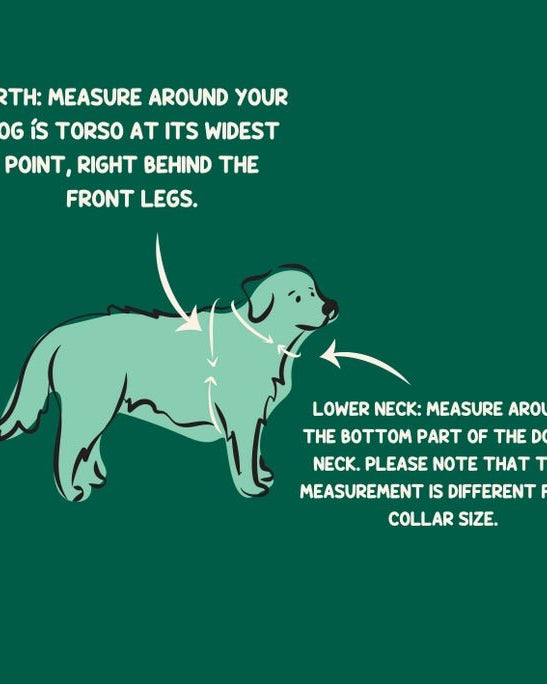 Mt. Milly Harness - Modern Companion