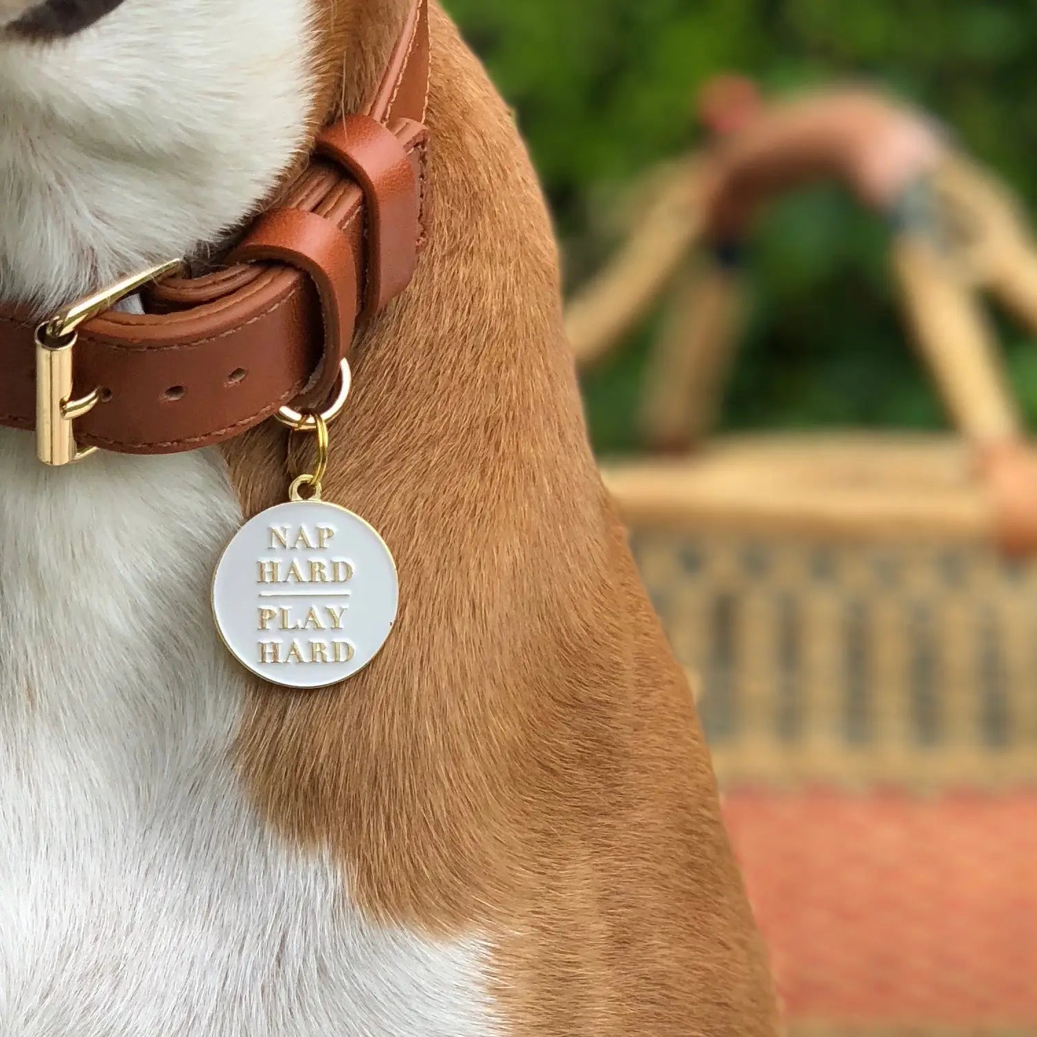 Nap Hard Play Hard Pet ID Tag - Modern Companion