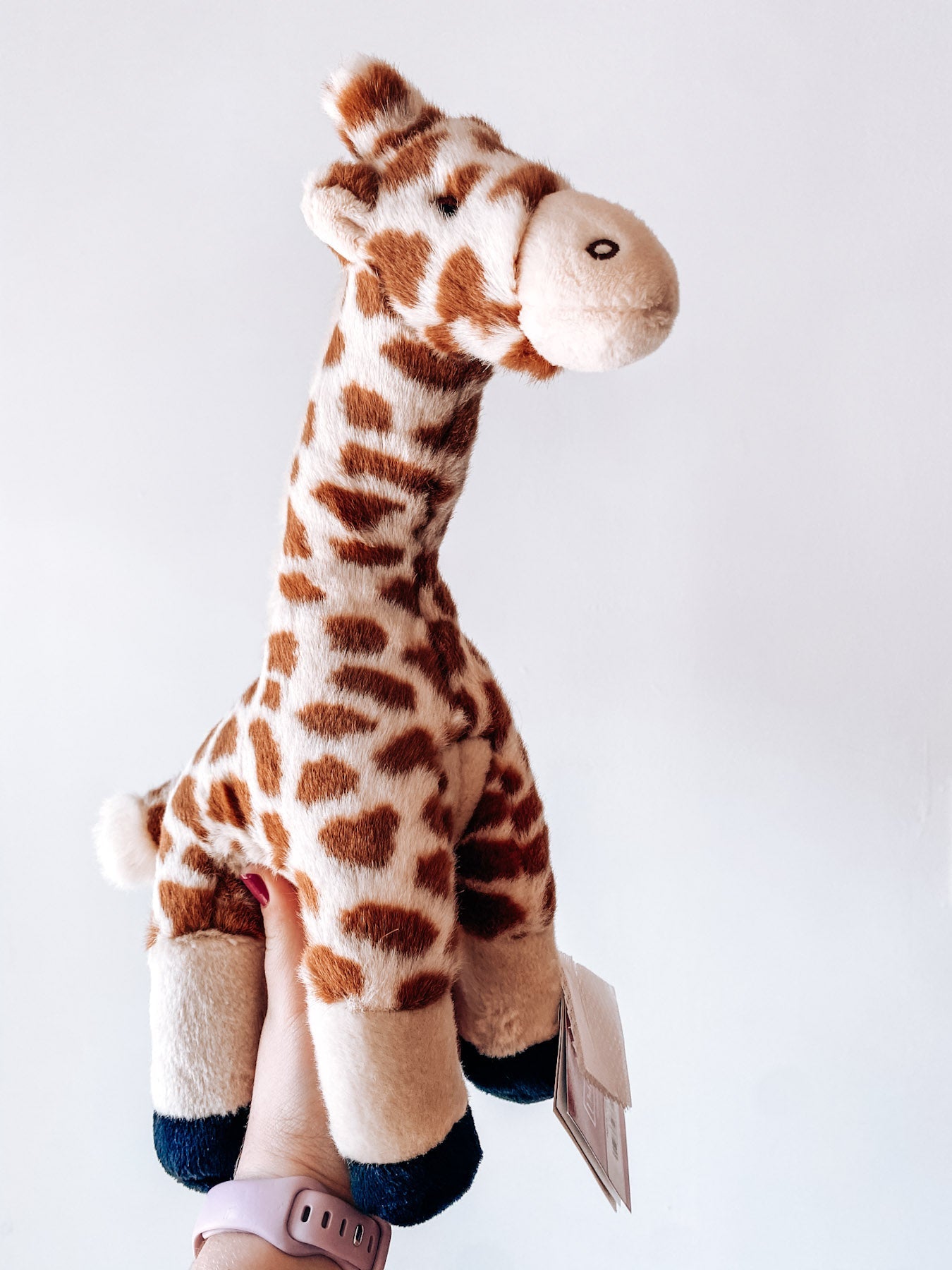 Nelly Giraffe - Modern Companion