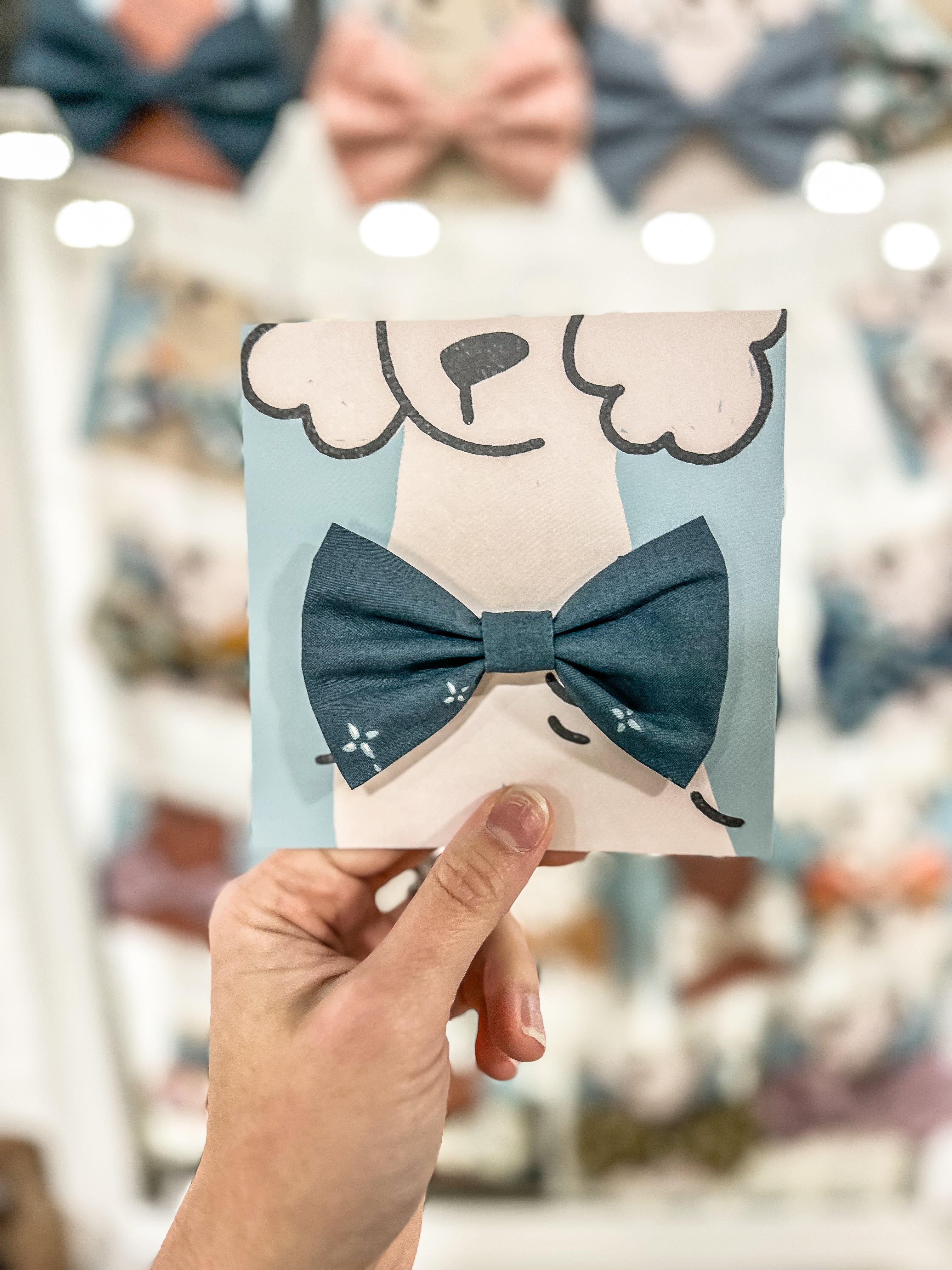 Pacifica Bowtie - Modern Companion