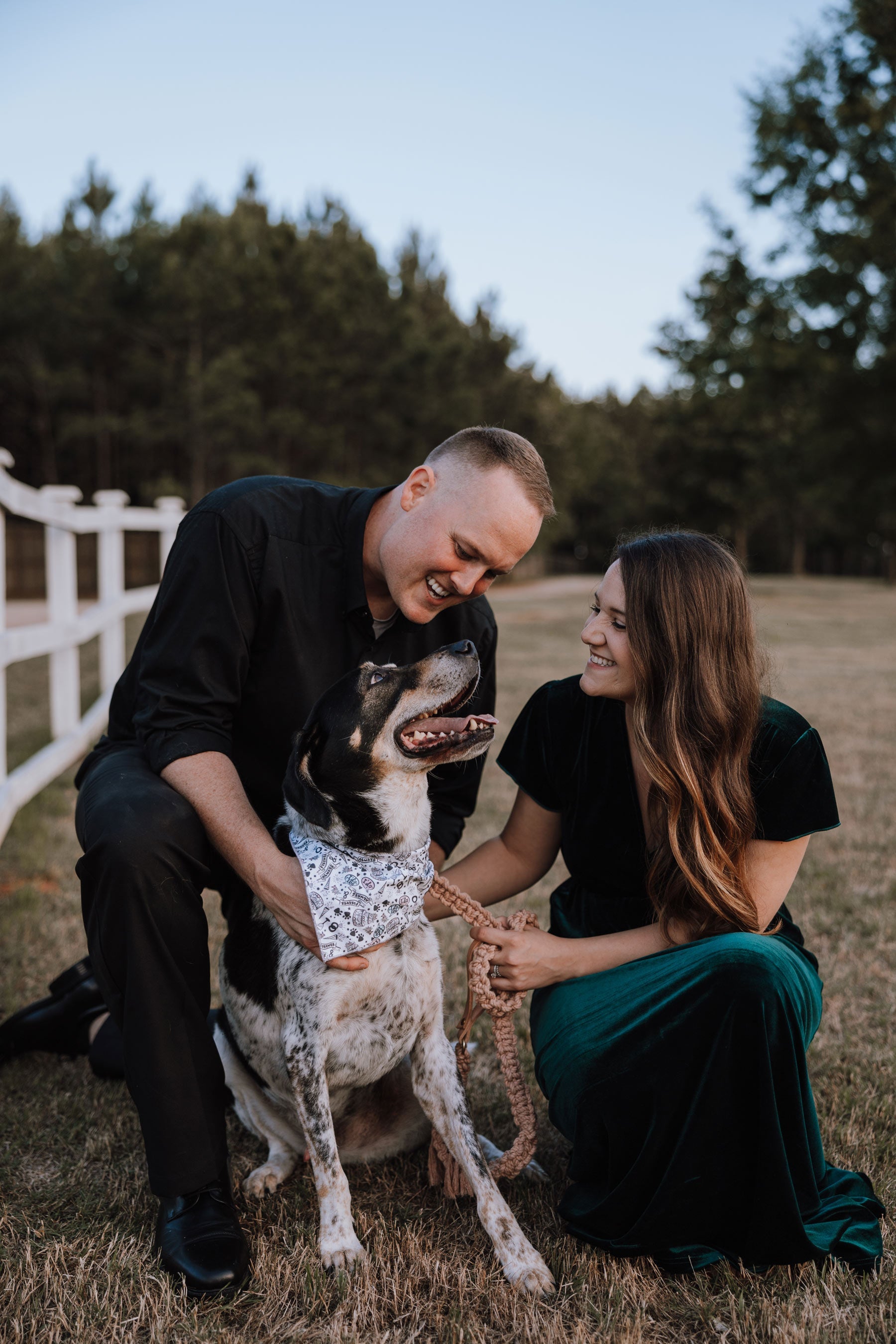 Paws in Love Bandana - Modern Companion