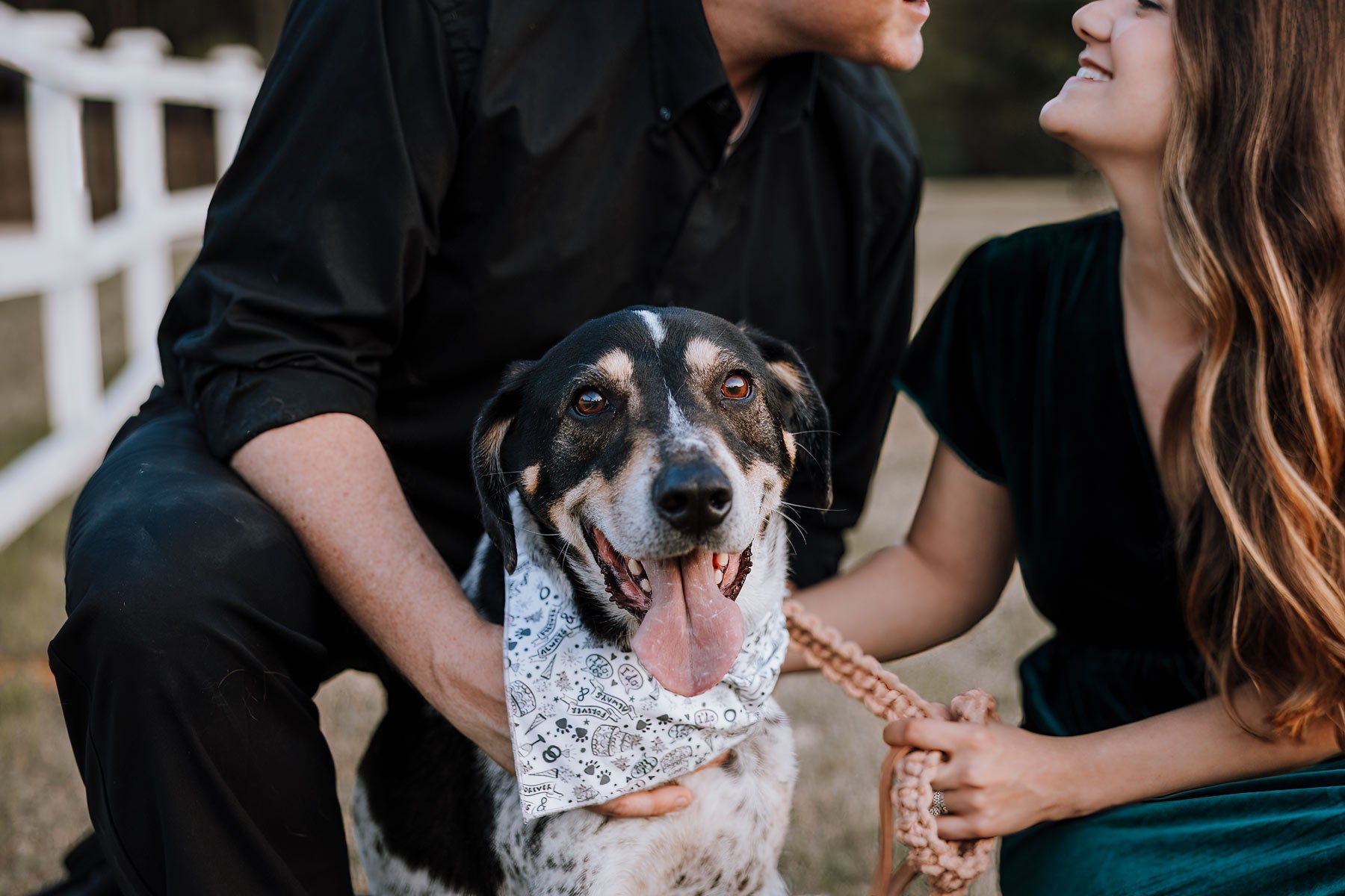 Paws in Love Bandana - Modern Companion