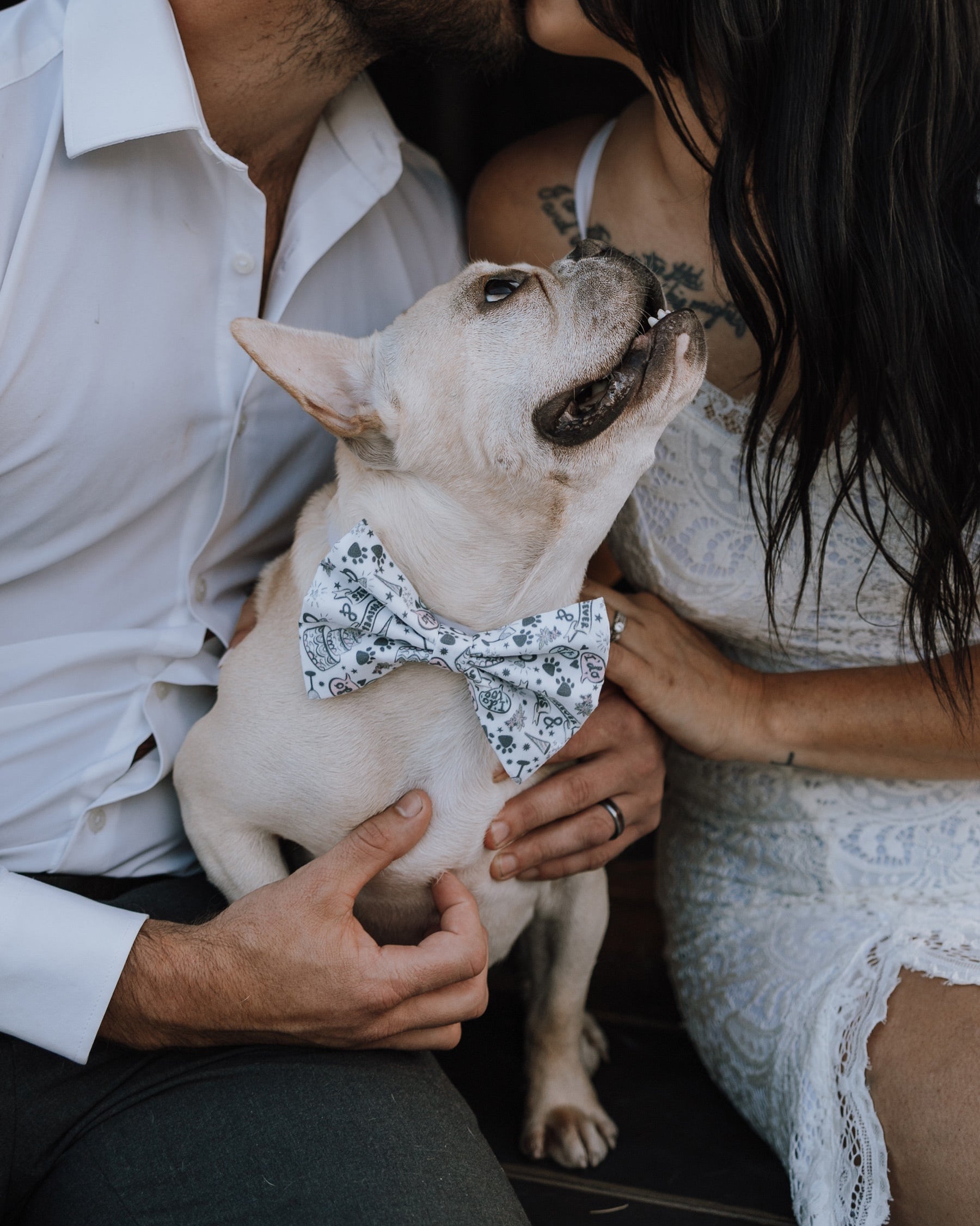Paws in Love Pet Bow Tie - Modern Companion