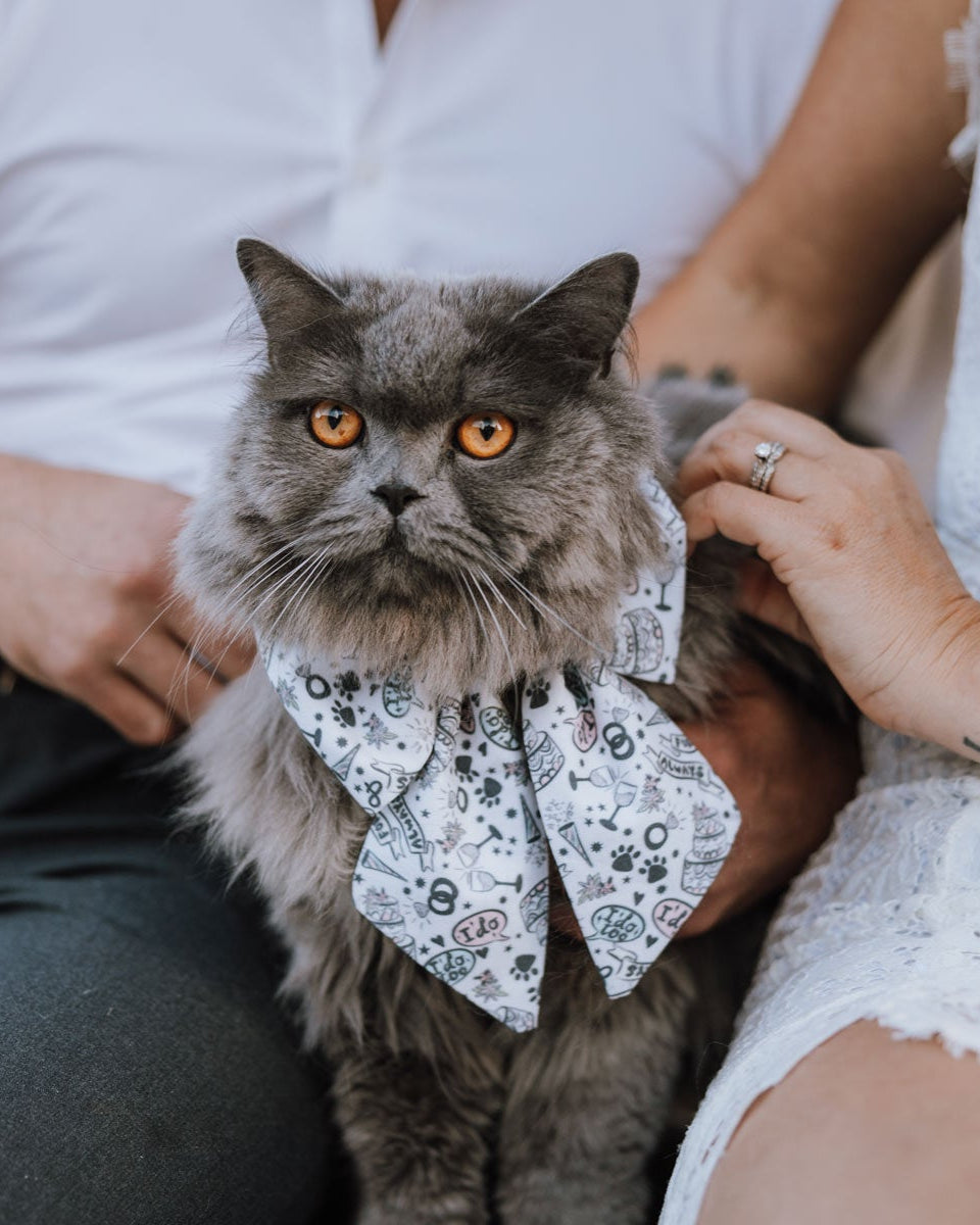 Paws in Love Pet Sailor Bow - Modern Companion