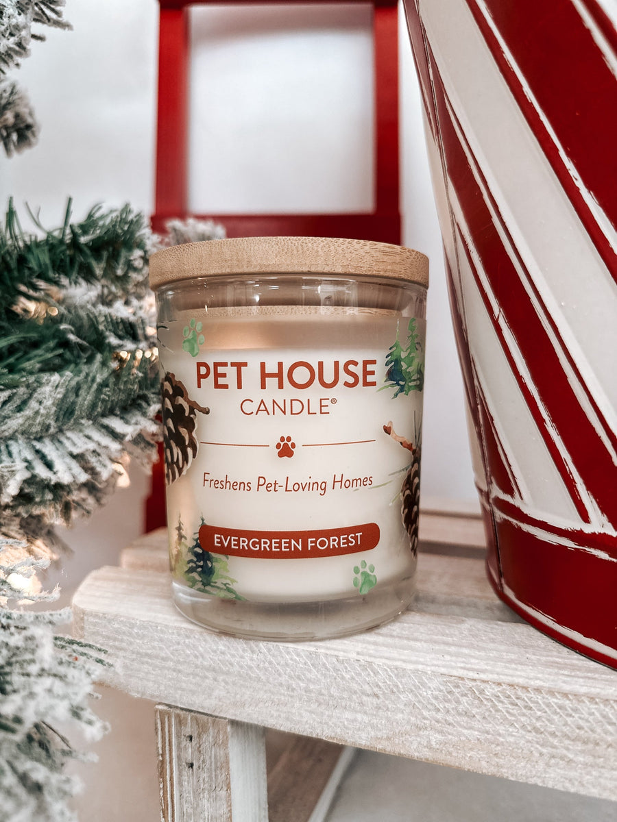 Pet House Candle Evergreen Forest Modern Companion