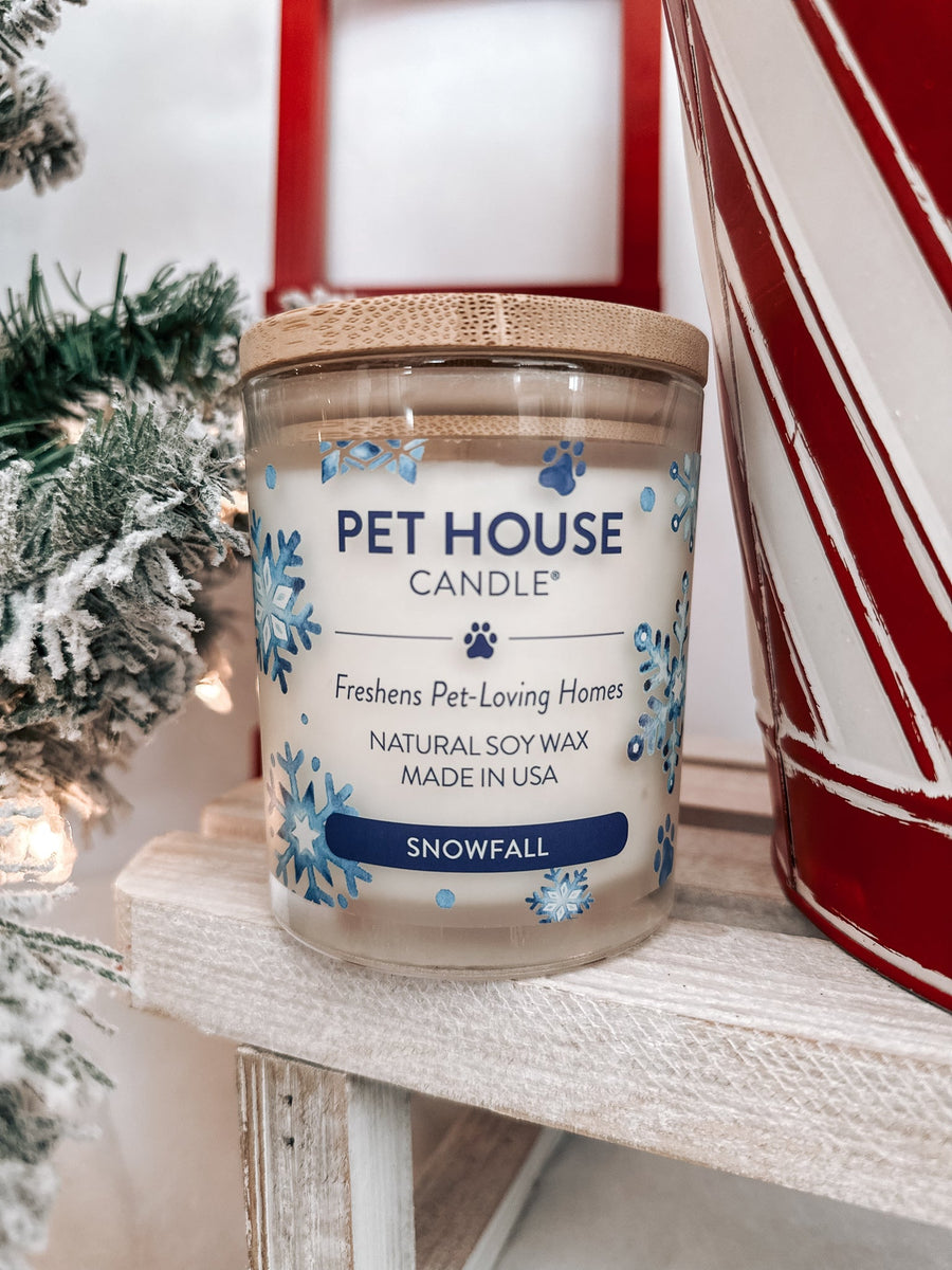 Pet House Candle Snowfall Candle Modern Companion