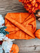 Phoenix Pet Scarf - Modern Companion