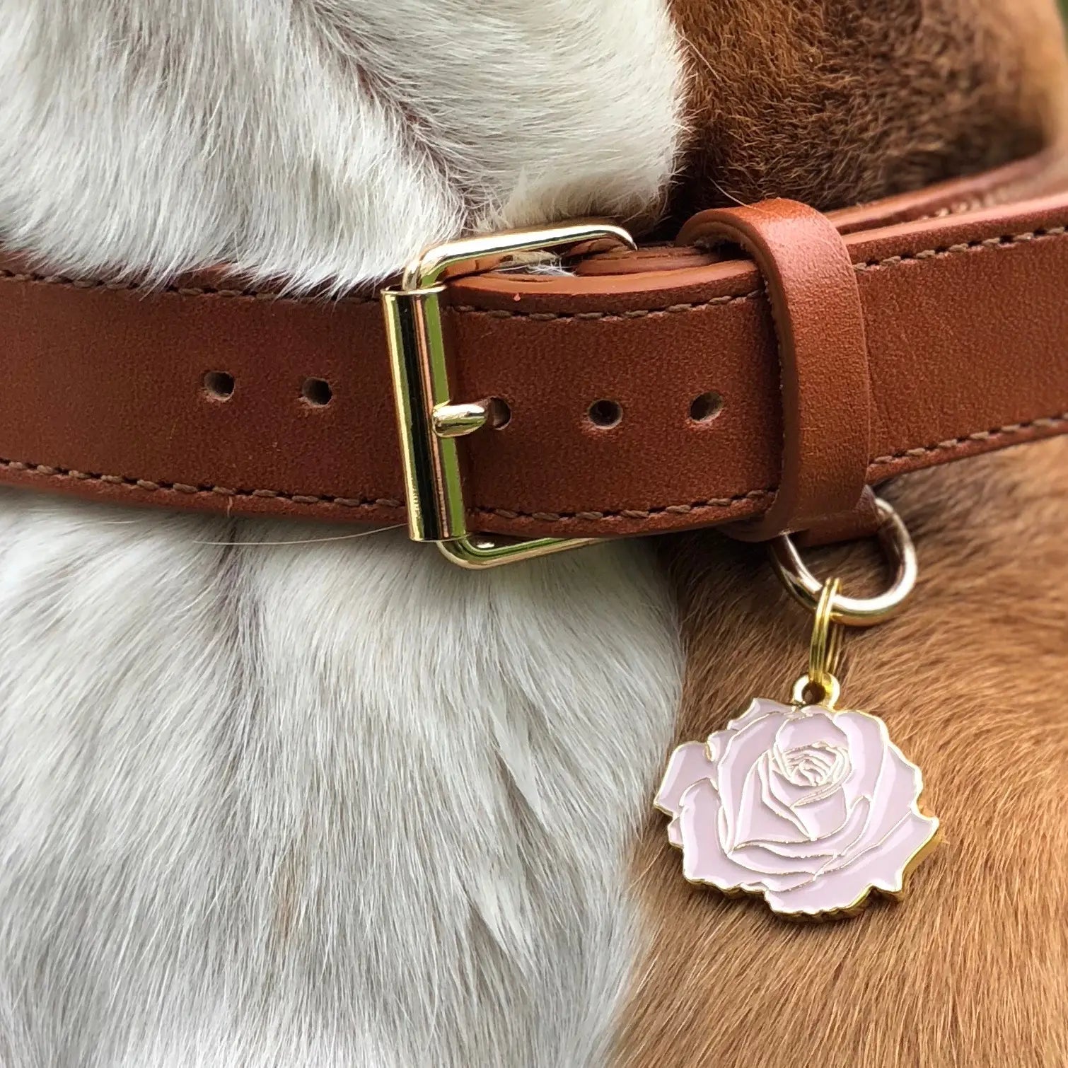 Pink Rose Pet ID Tag - Modern Companion