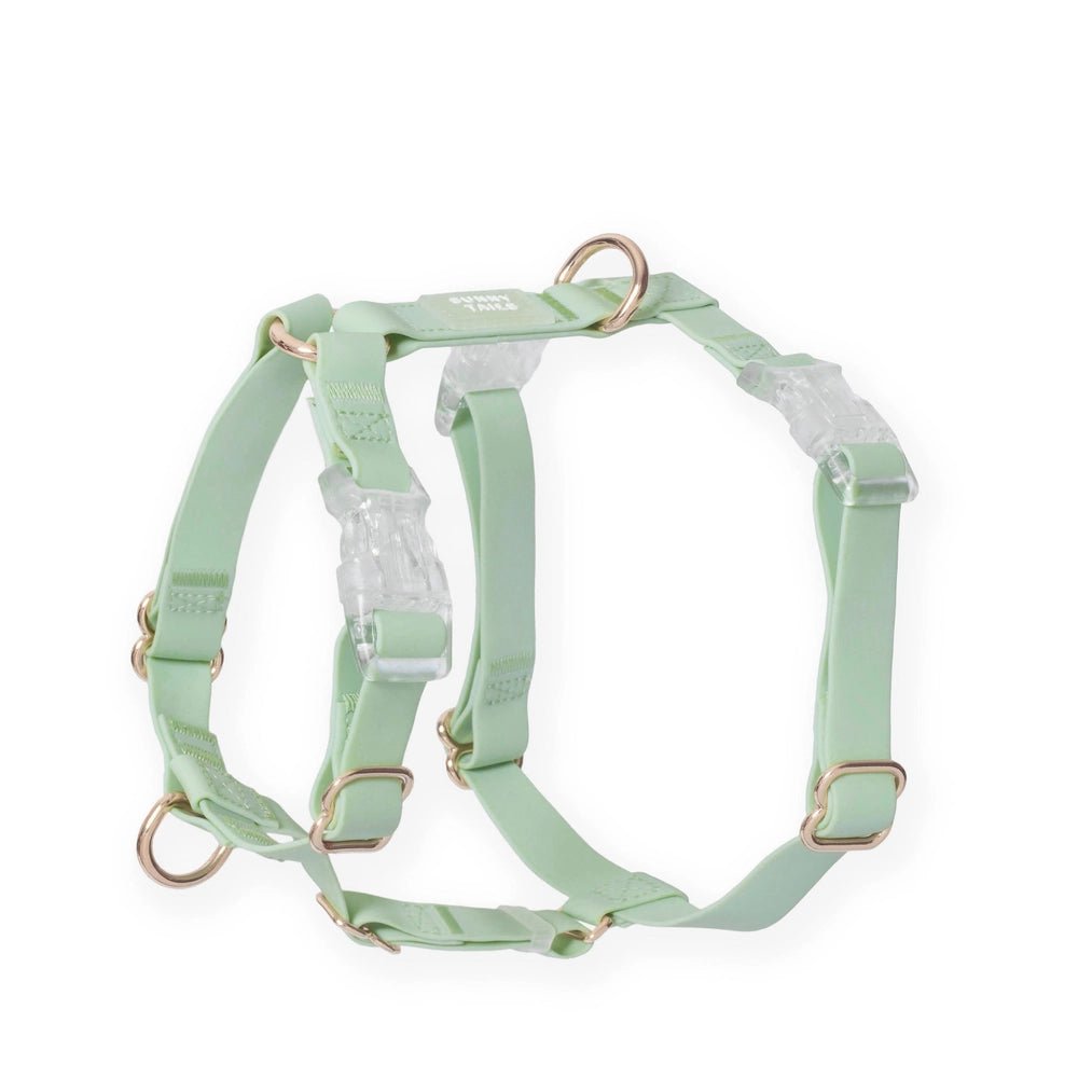 Pistachio Green Waterproof Harness - Modern Companion