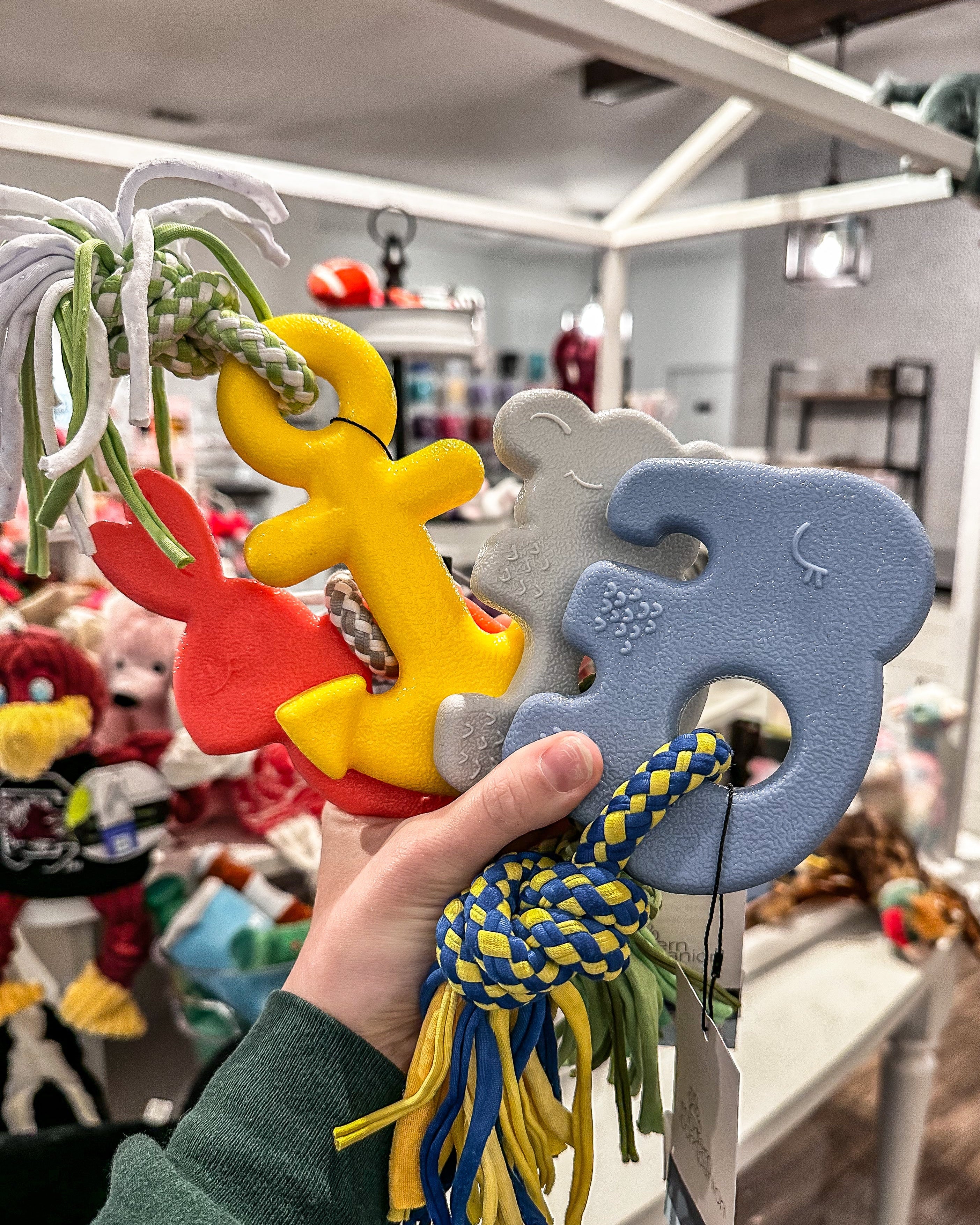 Puppy Teethers - Modern Companion