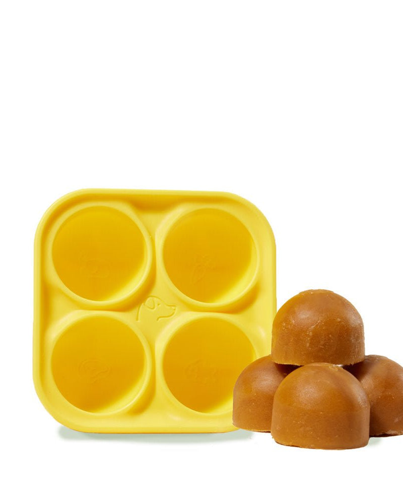 Pupsicle Treat Tray - Modern Companion