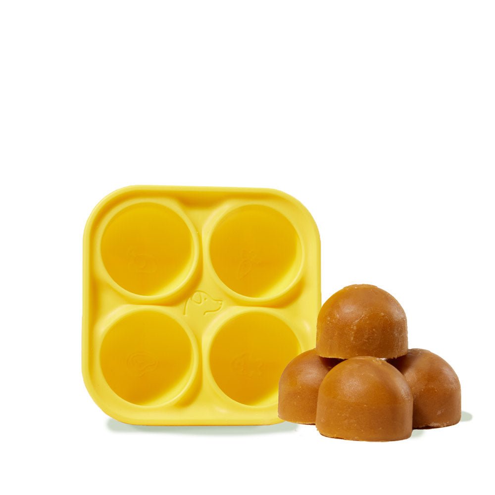 Pupsicle Treat Tray - Modern Companion