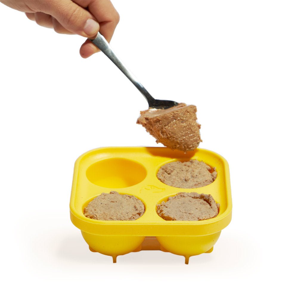 Pupsicle Treat Tray - Modern Companion