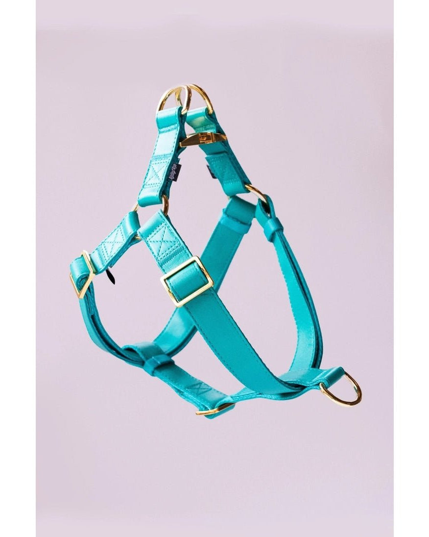 Riot Grwl Vegan Leather Harness - Modern Companion