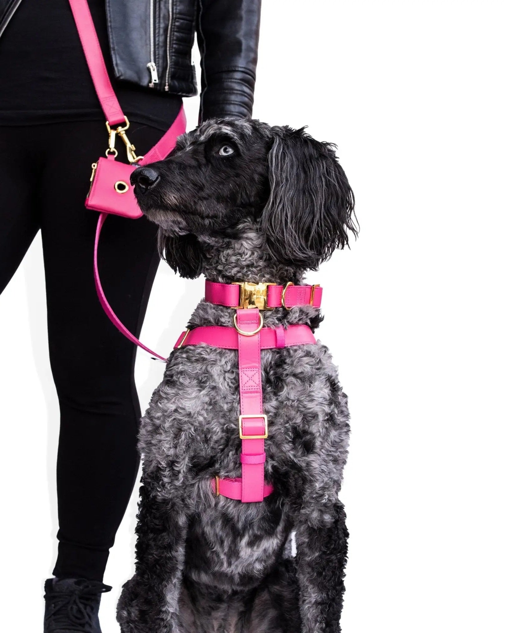 Riot Grwl Vegan Leather Harness - Modern Companion