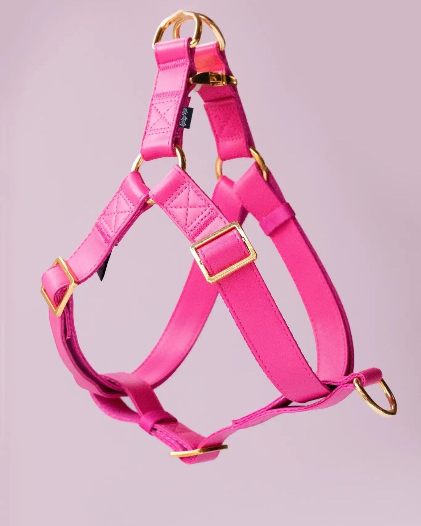 Riot Grwl Vegan Leather Harness - Modern Companion