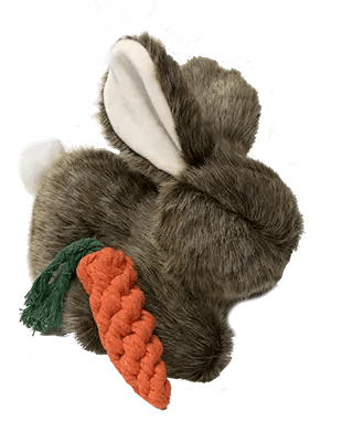 Ruffian Bunny - Modern Companion