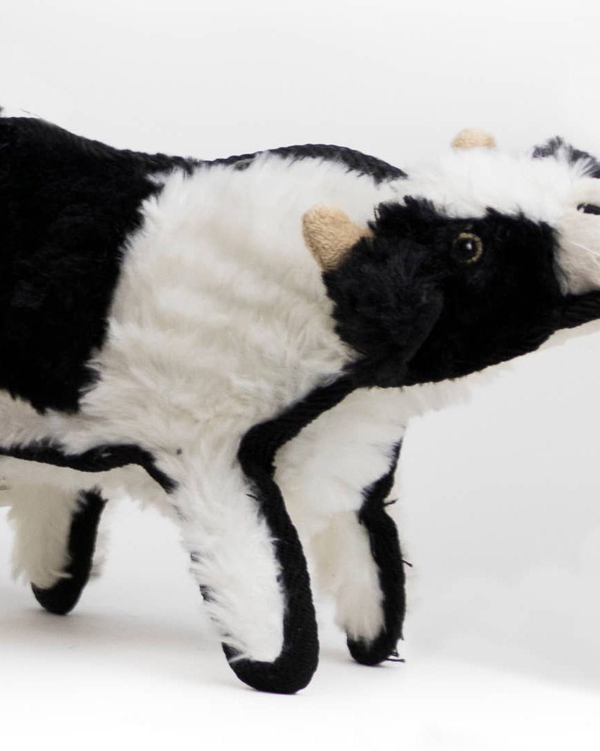 Ruffian Cow - Modern Companion