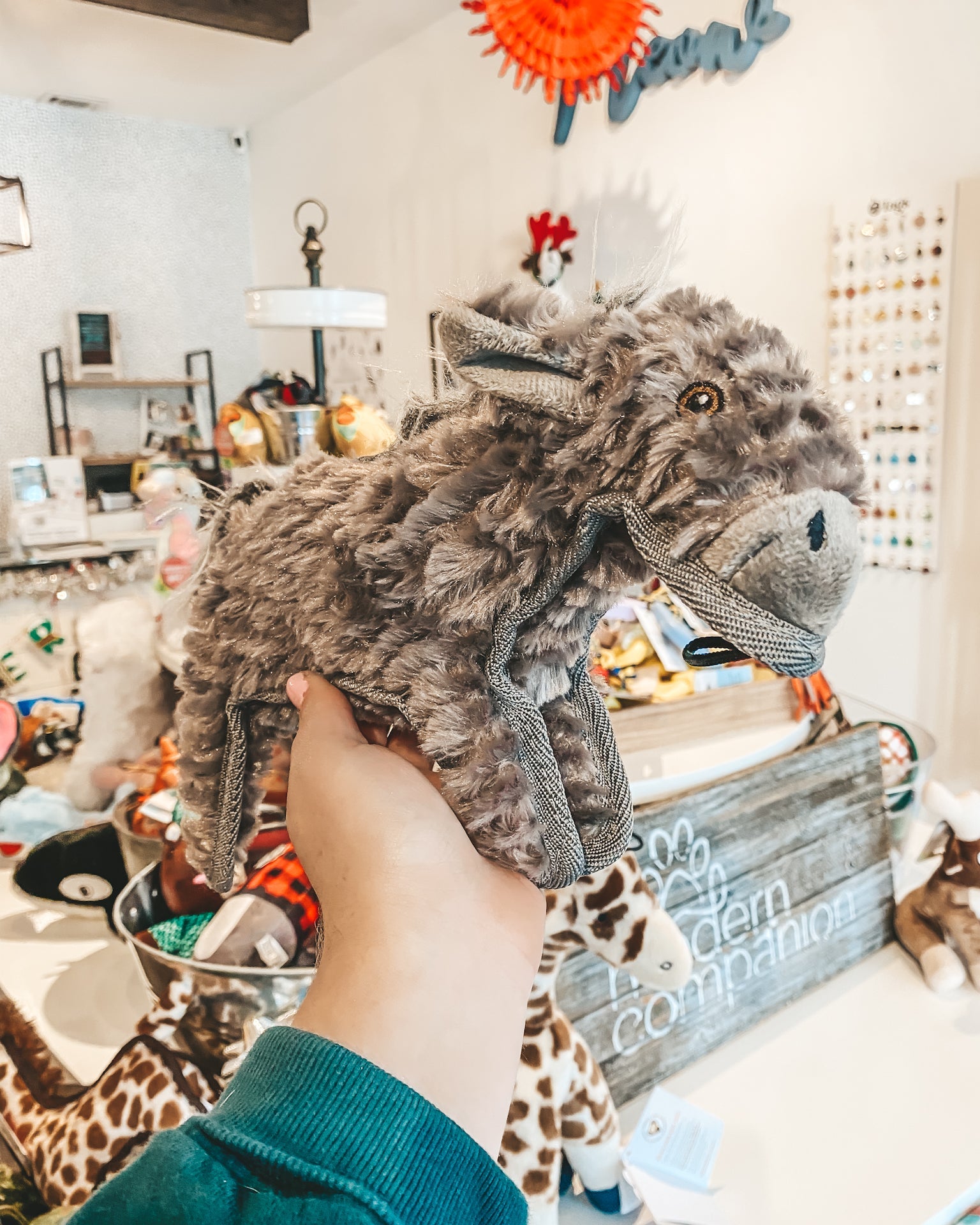 Ruffian Donkey - Modern Companion