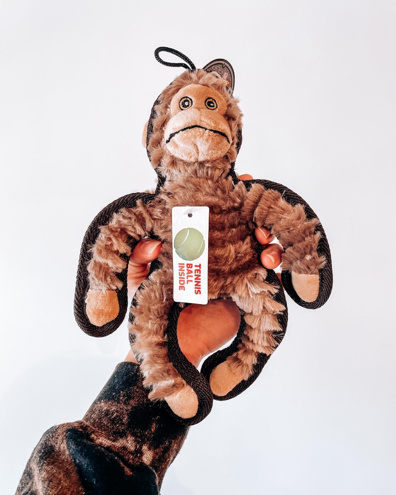 Ruffian Monkey - Modern Companion