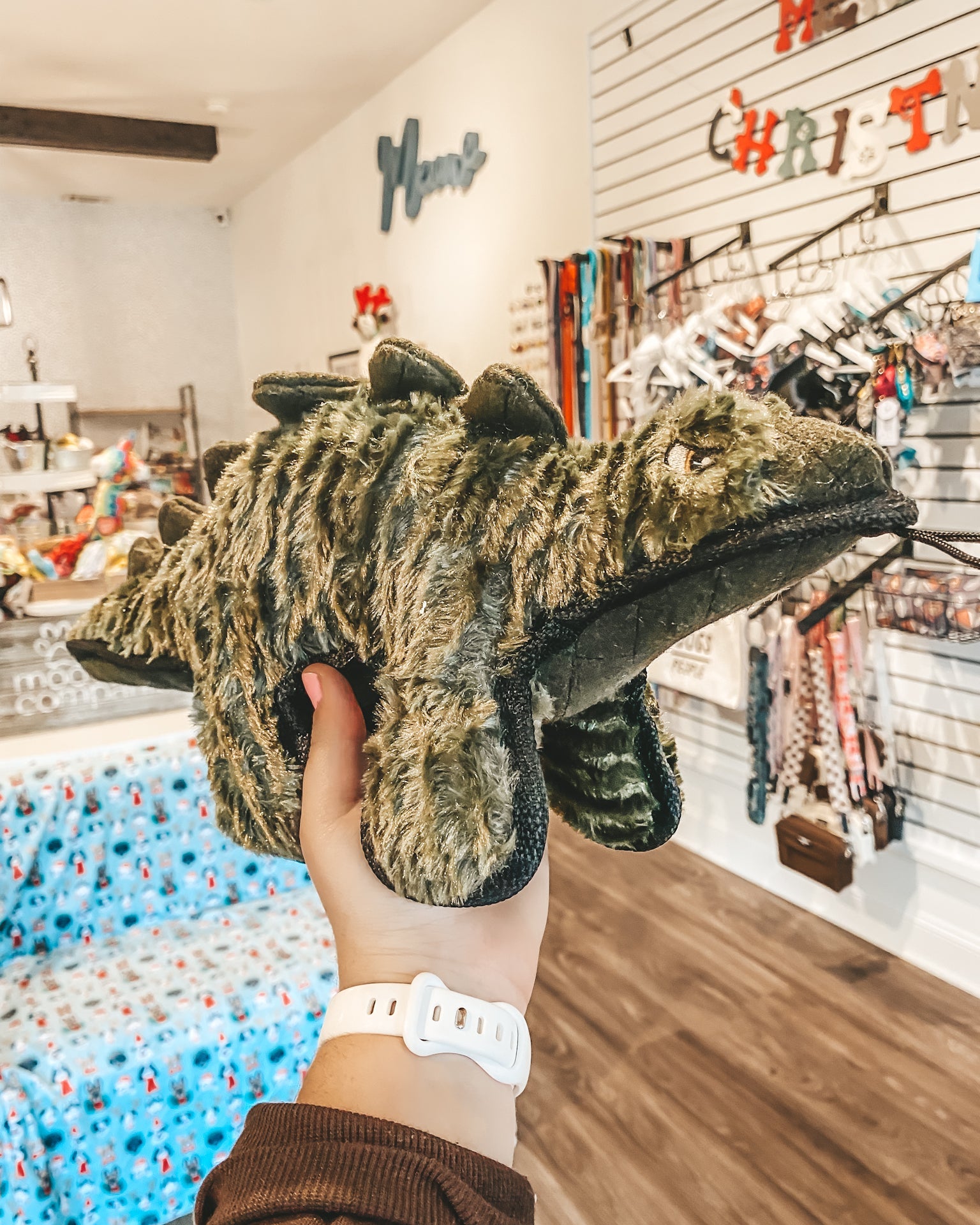 Ruffian Stegosaurus - Modern Companion