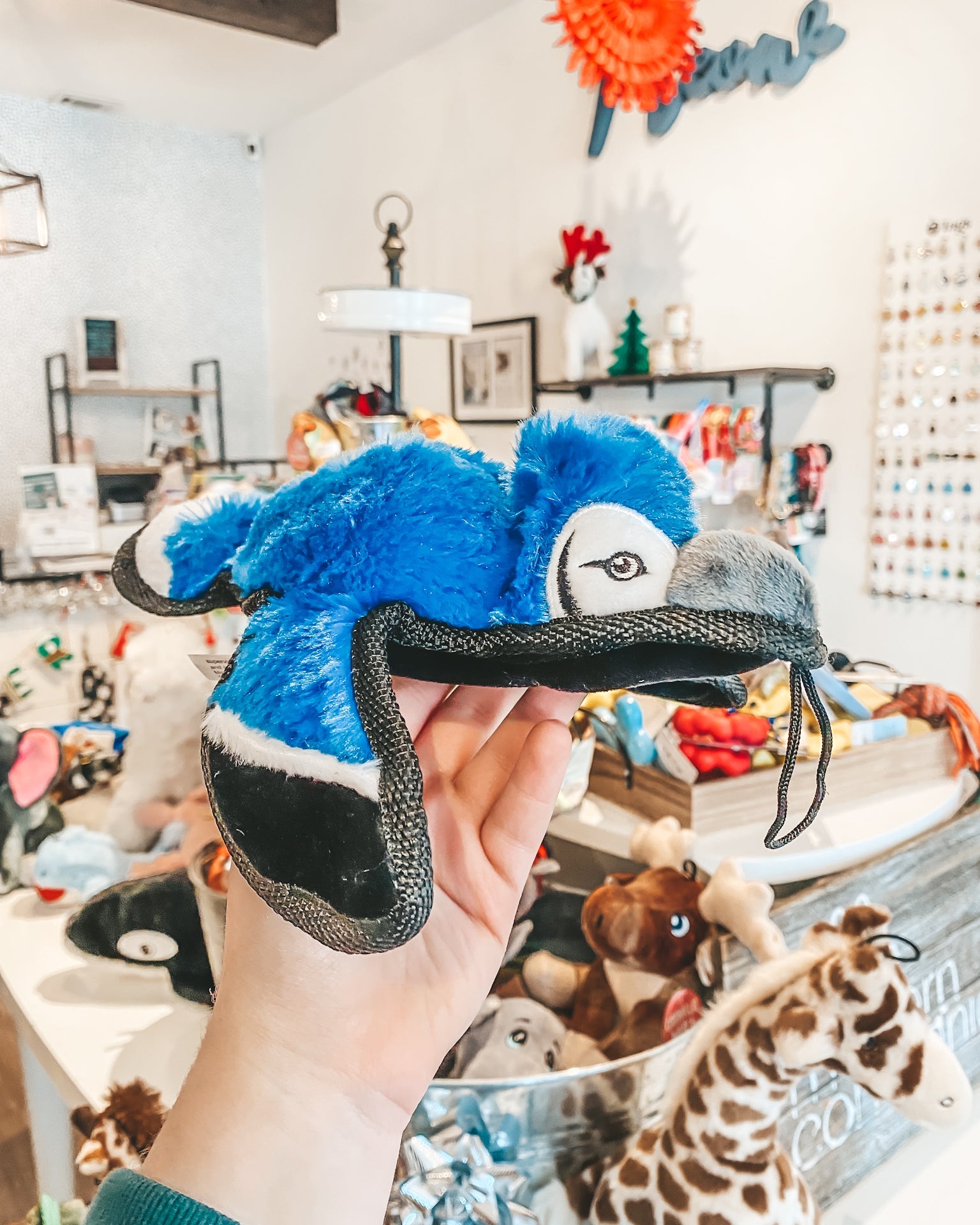 Ruffian Yard Bird Blue Jay - Modern Companion