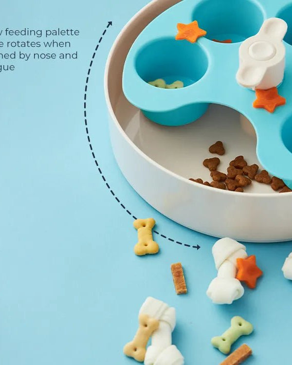 SPIN Interactive Feeder Palette - Modern Companion