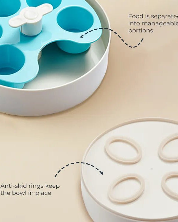 SPIN Interactive Feeder Palette - Modern Companion