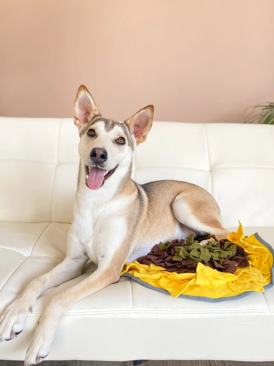 Sunflower Snuffle Mat Modern Companion