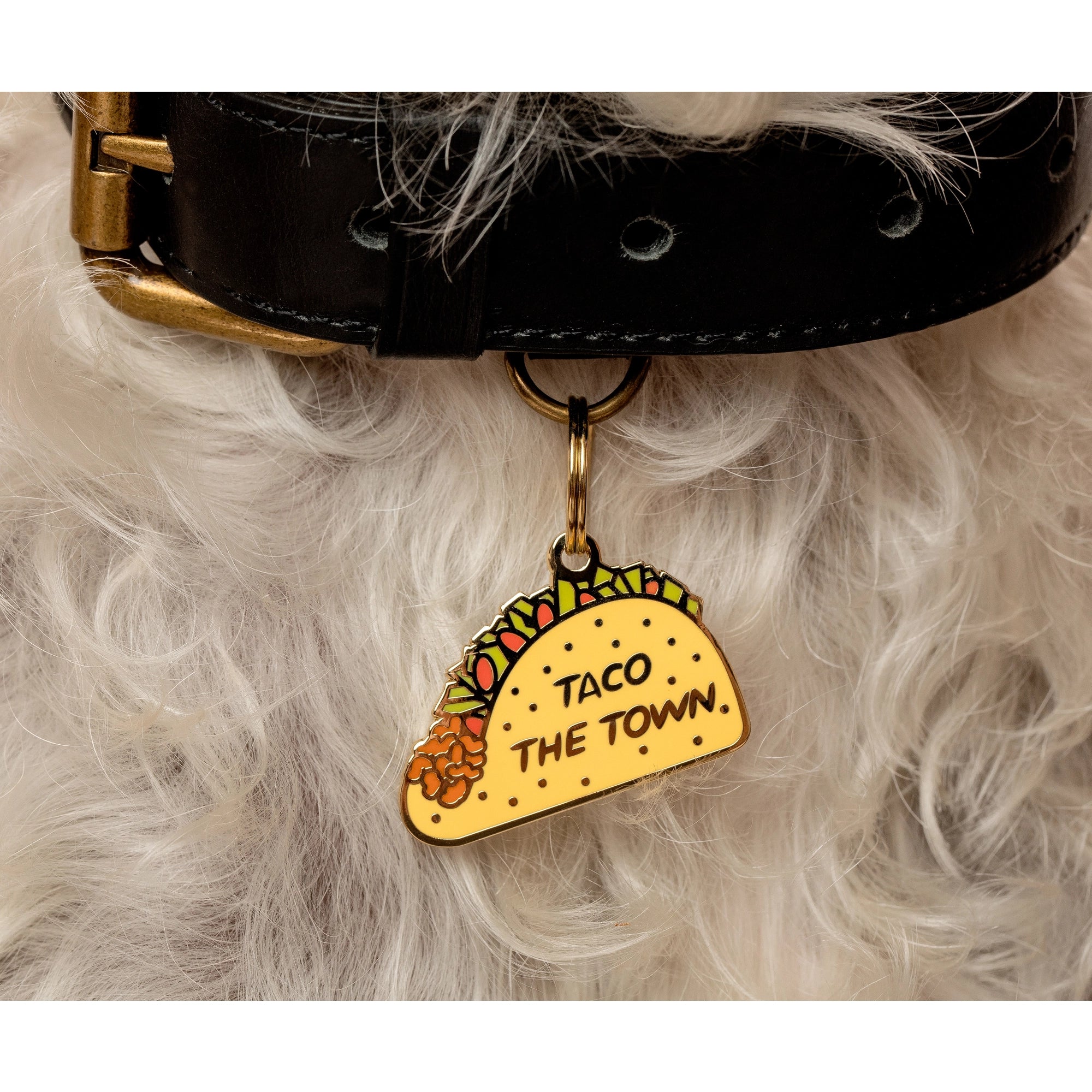 Taco the Town Pet ID Tag - Modern Companion