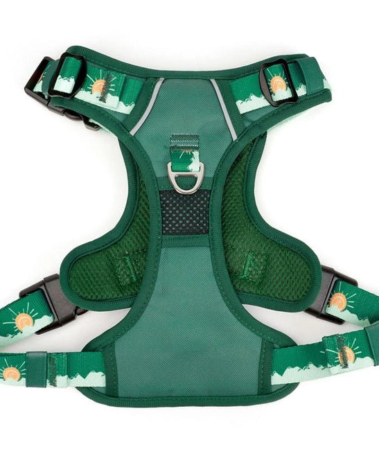 Tahoma Harness - Modern Companion