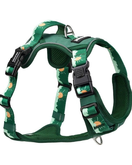 Tahoma Harness - Modern Companion