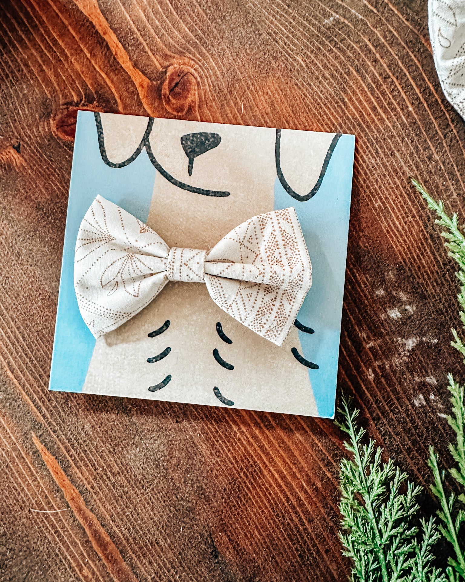 Tawny Bow Tie - Modern Companion