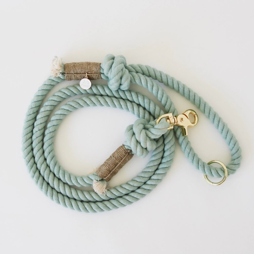 Teal Gem Rope Leash Modern Companion
