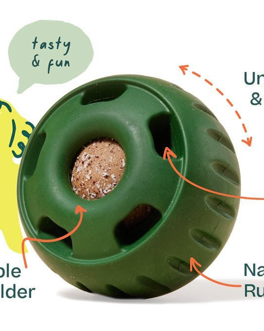 The Pupsicle For Power Chewers - Modern Companion