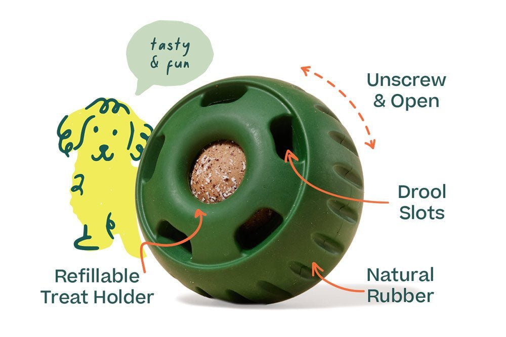 The Pupsicle For Power Chewers - Modern Companion