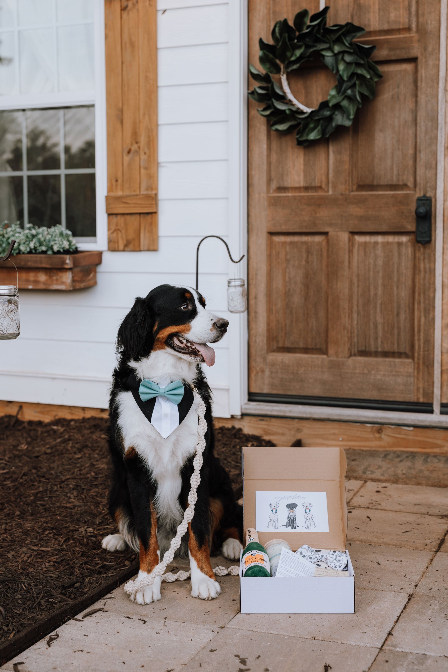 The Wedding Pawty Box - Modern Companion
