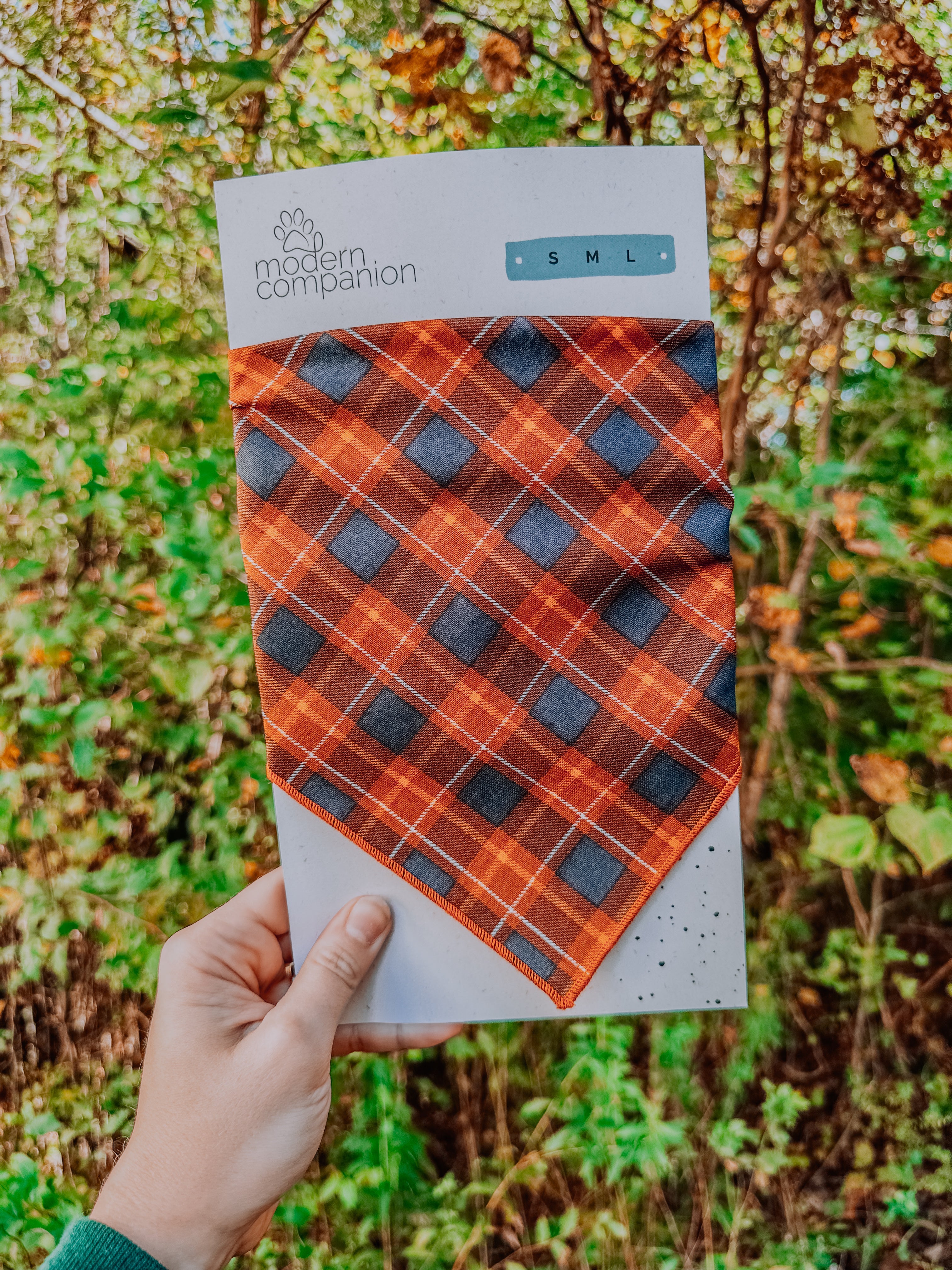 Willow Bandana - Modern Companion