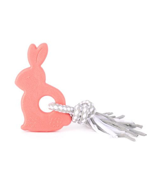 ZippyTuff Teether - Modern Companion