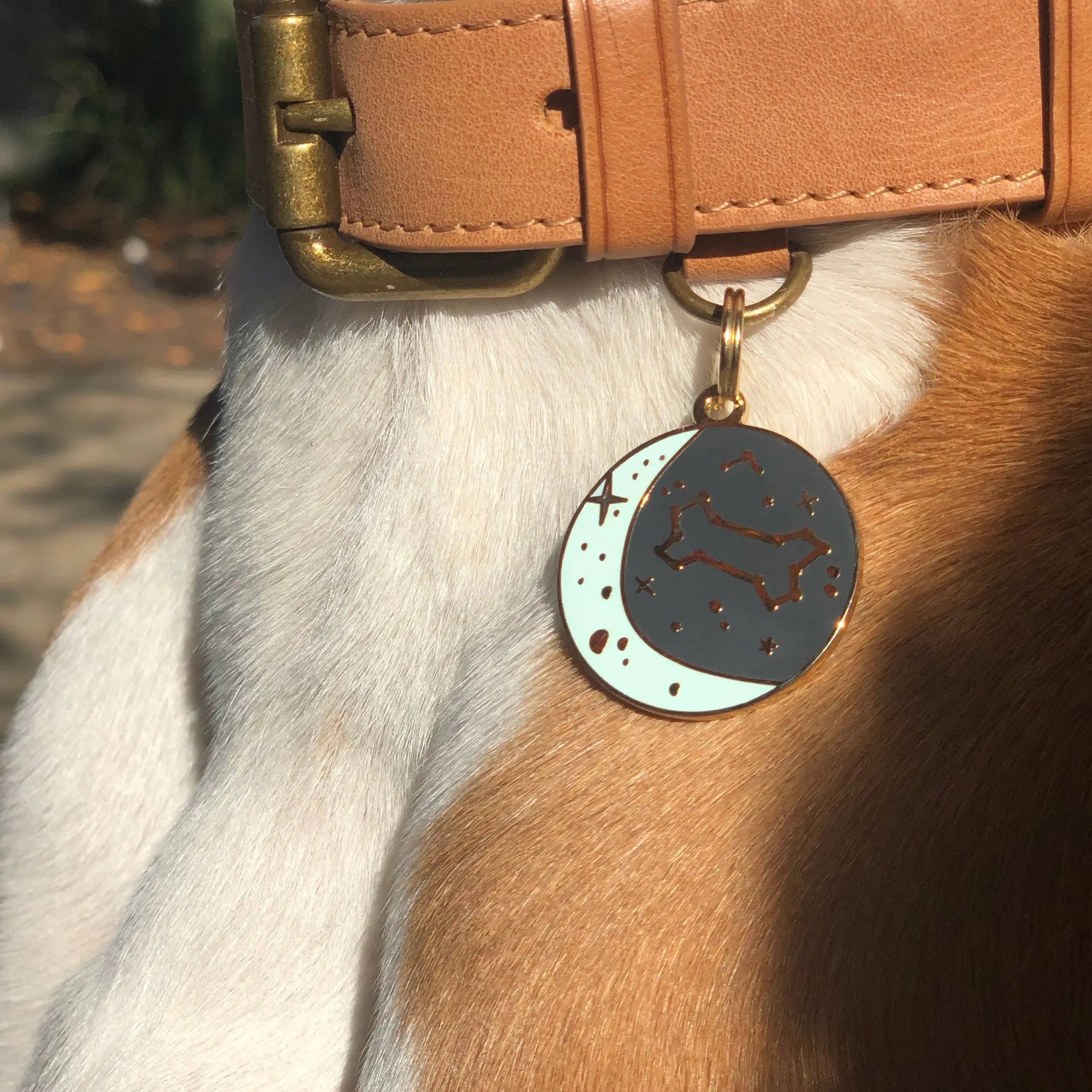 Zodiac Pet ID Tag - Modern Companion