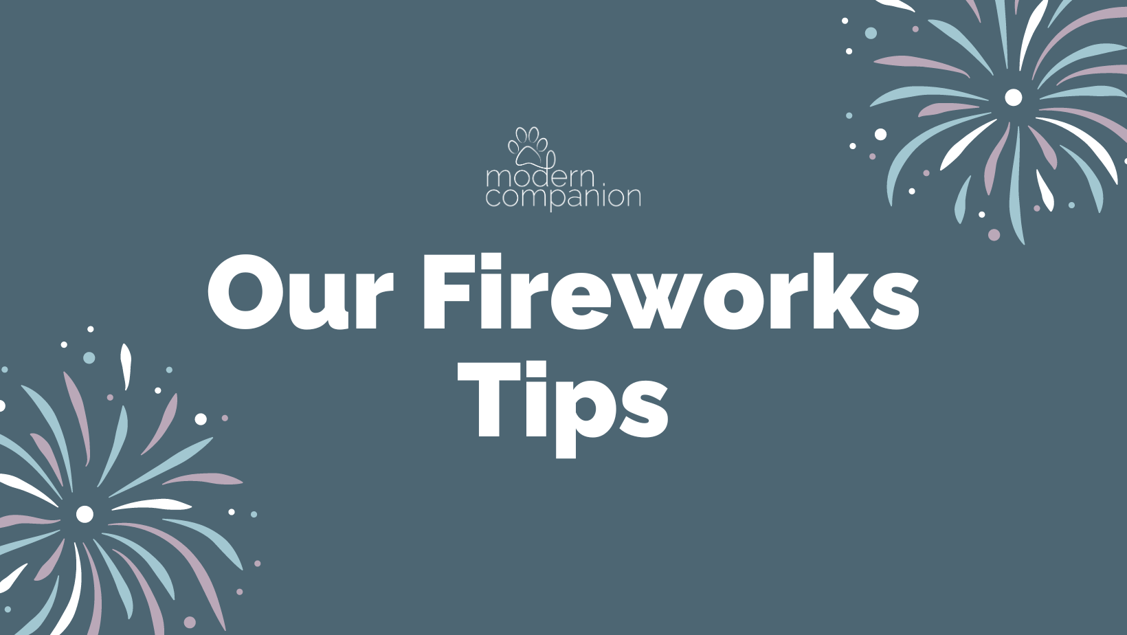 How to keep your pet calm during a fireworks show - Modern Companion