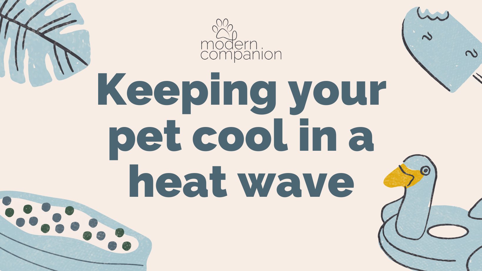 How to keep your pets cool during a heat wave - Modern Companion